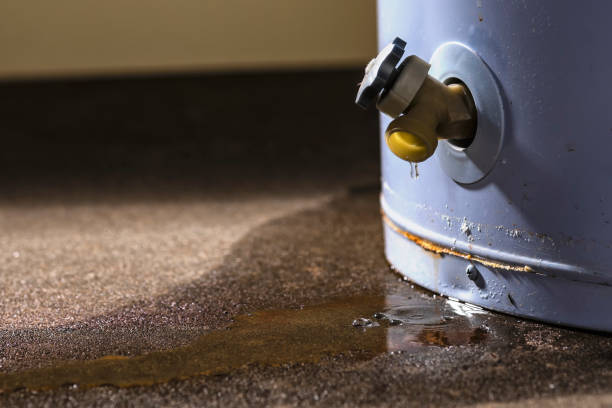 Best Flooded house restoration  in Goodman, MO