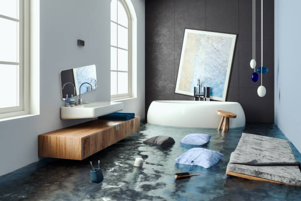 Best Flood damage cleanup  in Goodman, MO