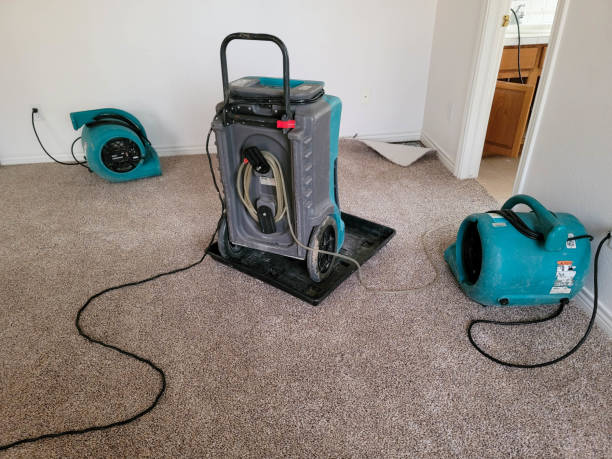 Best Basement water damage restoration  in Goodman, MO