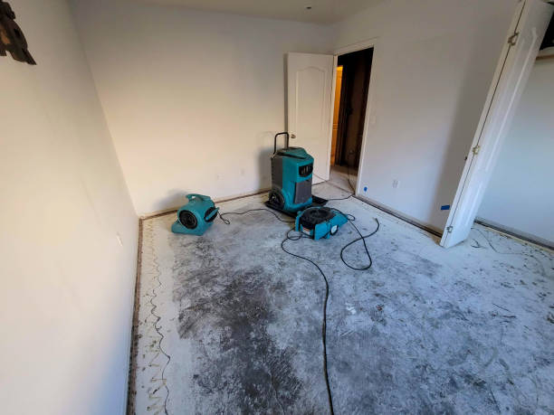 Best Water damage restoration cost  in Goodman, MO