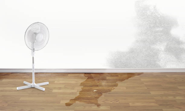 Best Sewage cleanup and water damage restoration  in Goodman, MO