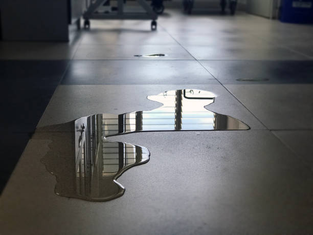 Best Water damage repair service  in Goodman, MO