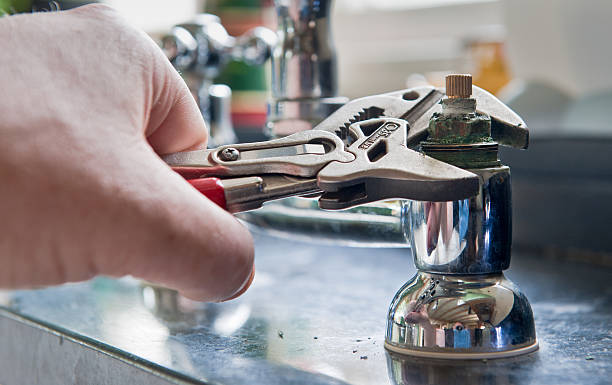 Best Mold removal after water damage  in Goodman, MO
