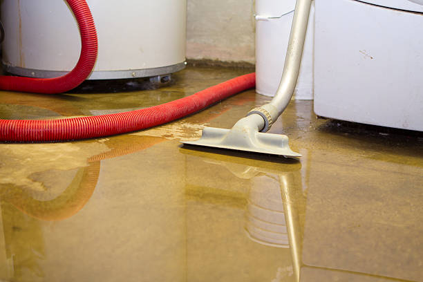 Best Local water damage restoration  in Goodman, MO