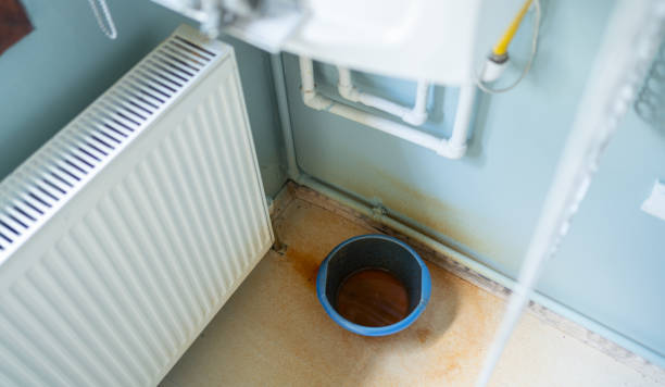 Best 24/7 water damage repair  in Goodman, MO