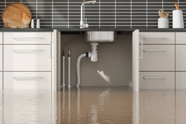 Best Carpet water damage restoration  in Goodman, MO